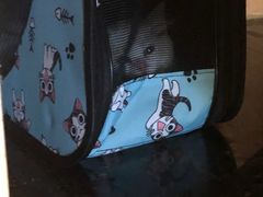 -lincat·猫舍(广州店)