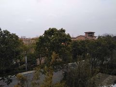 -上海崇明金茂凯悦酒店