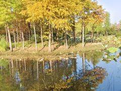 -长广溪湿地公园
