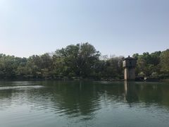 -紫霞湖公园