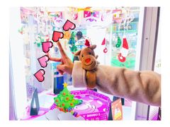 -PAWTOY爪e玩偶店(天兴罗斯福店)