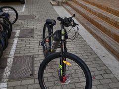 -道路口单车爱瓦士dahon大行