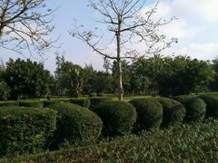 -万绿园