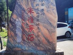 -朱雀国家森林公园