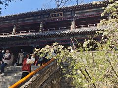 -潭柘寺景区