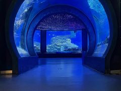 -海合安武汉极地海洋公园