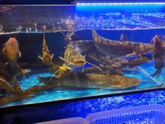 -布多斯烤肉火锅自助(江腾广场店)