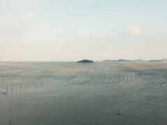 -北岐滩涂