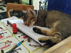 -甲米射击场KRABI SHOOTING RANGE