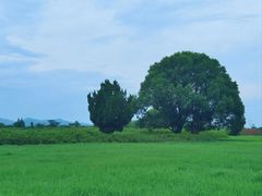 -良渚古城遗址公园