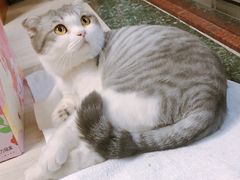 -博特宠物医院24h犬猫全科.骨科·异宠