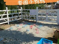 -前小桔亲子创意农场·草莓采摘·露营烧烤