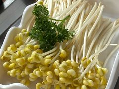 -老版火锅.12年西安排队王(沣峪口店)