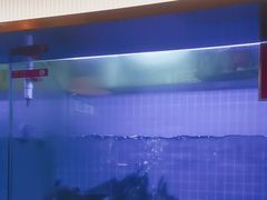 -老板恋上鱼(印象城店)