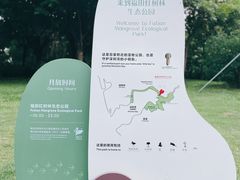 -福田红树林生态公园