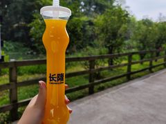 -广州长隆飞鸟乐园