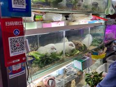 -花鸟鱼虫鲜花绿植市场(玉泉路店)