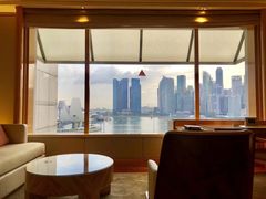 -新加坡丽思卡尔顿美年酒店