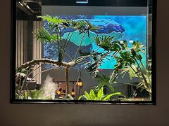 -J Create城市露营咖啡·简餐·宠物(上海动物园店)