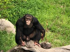 -西安秦岭野生动物园