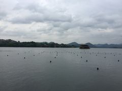 -西湖游船