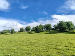 -御道口草原森林风景区