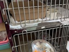 -宠福鑫康馨动物医院·骨科·眼科