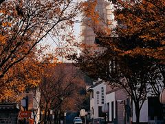 -大报恩寺遗址景区