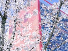 -龙美术馆(西岸馆)