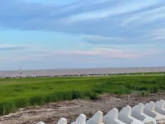 -南汇嘴观海公园