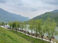 -后柳水乡