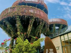 -芒洲湿地公园