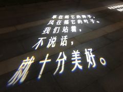 -映月湖中央公园