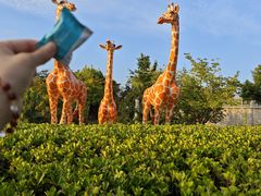 -奉浦四季生态园