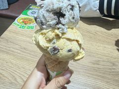 双球冰淇凌-魏家凉皮(次渠店)