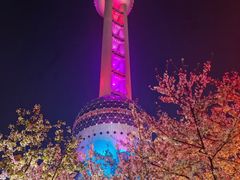 -东方明珠广播电视塔