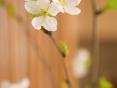 -汉艺唐风茶艺培训(联发华美空间店)