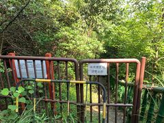 -重庆云阳龙缸景区