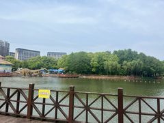 -自然谷恐龙园
