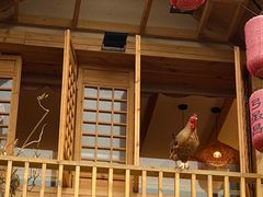 -弓虽昌焖烧鸡(大竹林店)
