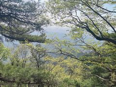 -秦岭天竺山景区