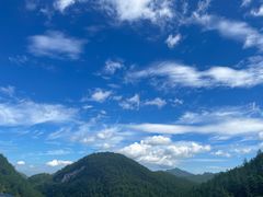 -武陵山森林公园