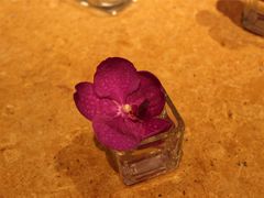 -澳门十六浦索菲特大酒店