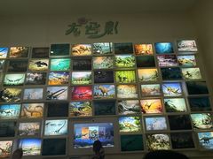 -安徽省地质博物馆