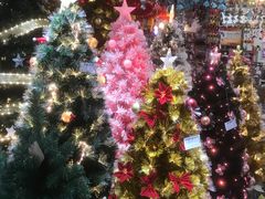 -艾薯夫妇Aysh(福田星河COCOPark店)