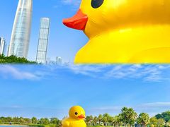 -深圳人才公园