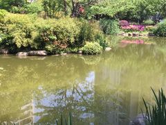 -新湖明珠城