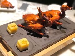 红烧乳鸽-大鸽饭(北京路店)