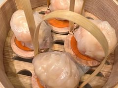 -金鼎轩(方庄天坛店)