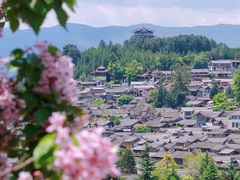 -玉湖村